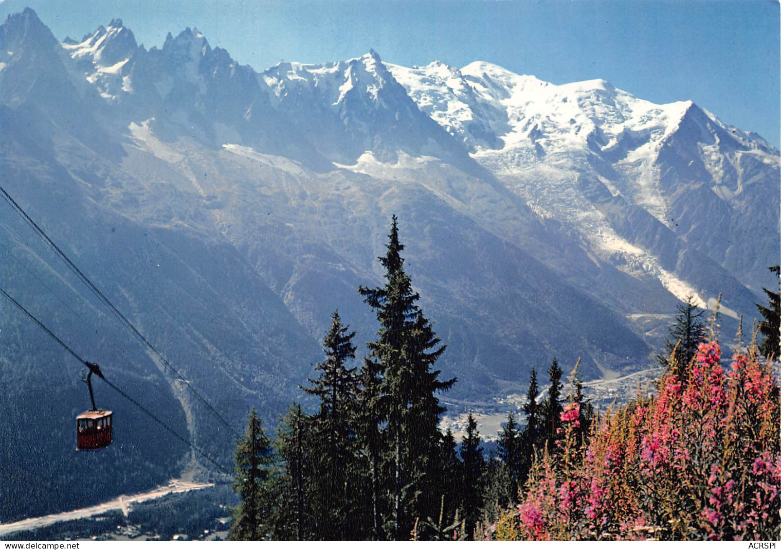 74 CHAMONIX MONT BLANC Panorama Depuis La Flégère N° 55 \MK3035 - Chamonix-Mont-Blanc