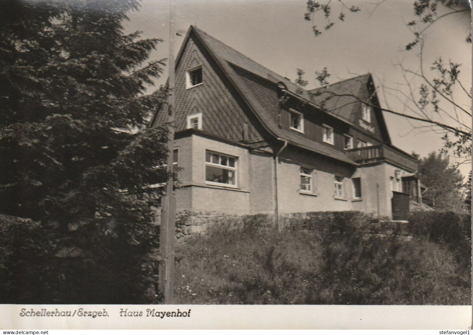 Schellerhau 1966    Mayenhof - Schellerhau