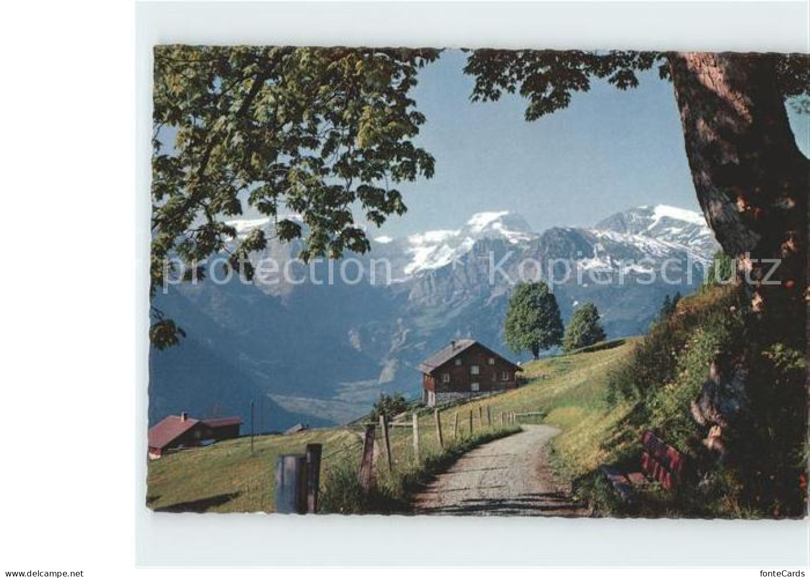 11915904 Braunwald GL Toedi Braunwald - Other & Unclassified