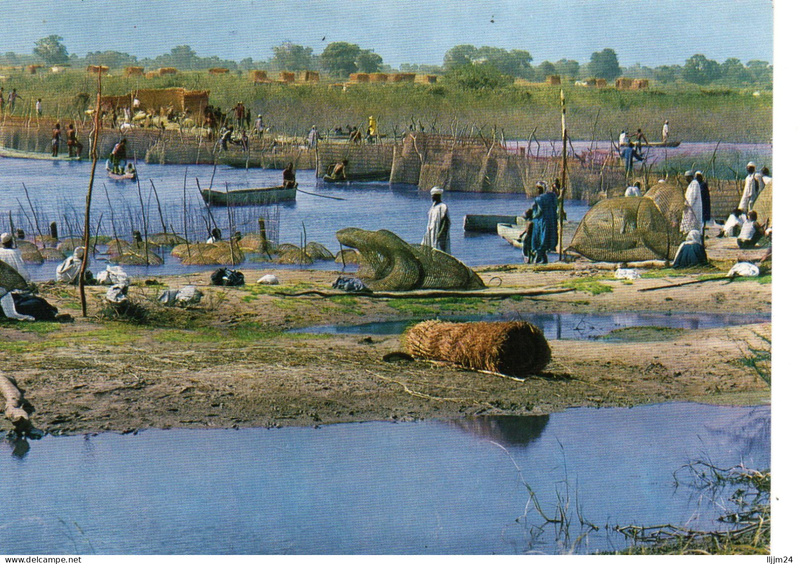 - Logone - Gana - Pêches Traditionnelles - ( 1551 ) - Tchad