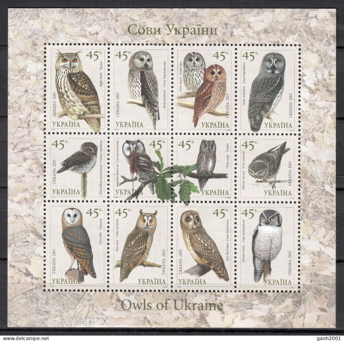 Ukraine 2003 Ucrania / Birds Owls MNH Aves Búhos Oiseaux Vögel / Cu21867  40-46 - Autres & Non Classés