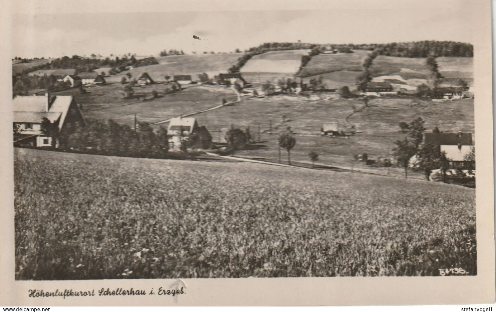 Schellerhau  1954  Dorfpartie - Schellerhau