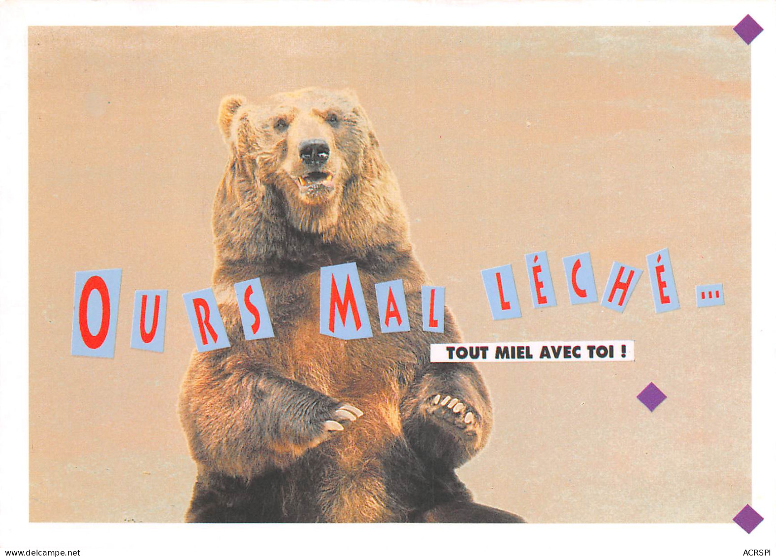 OURS Mal Leche  MIEL  24  (scan Recto Verso) MD2501BIS - Osos