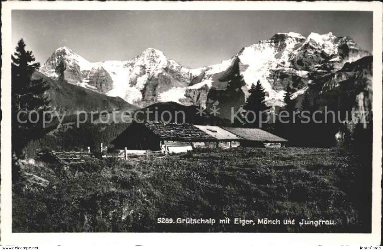 11911373 Gruetschalp Mit Eiger Moench Und Jungfrau Gruetschalp - Sonstige & Ohne Zuordnung