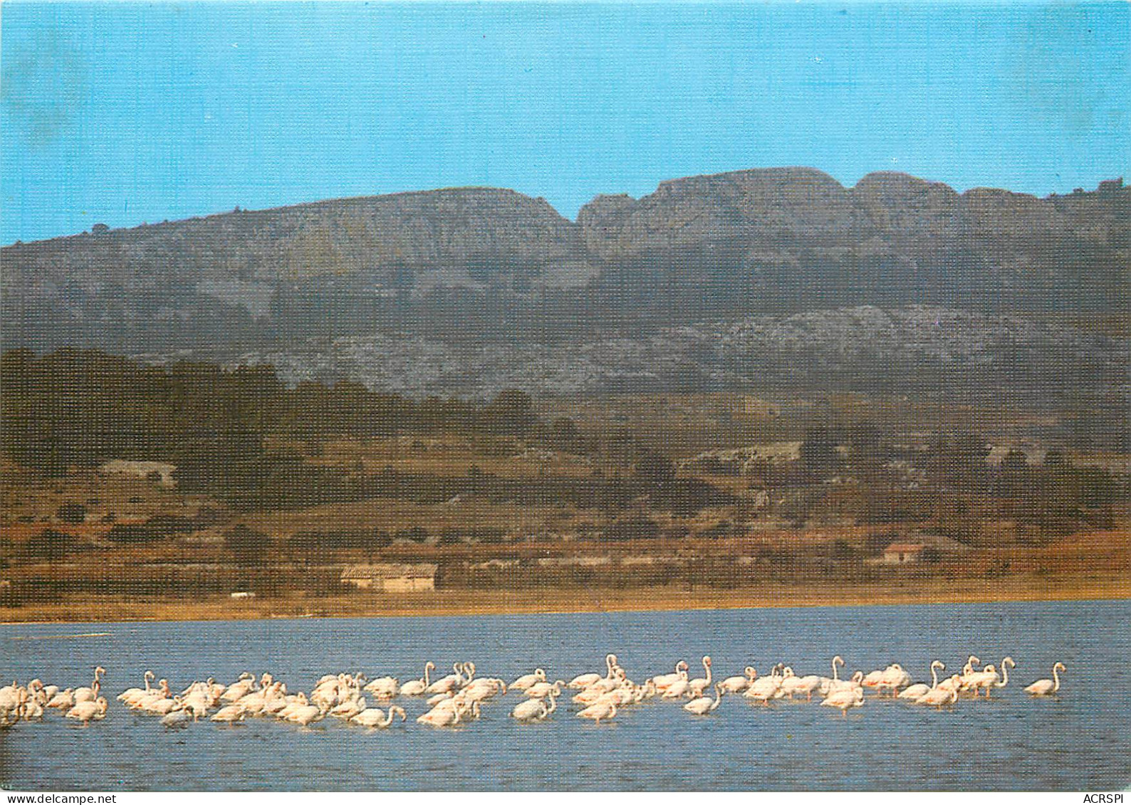 Le Massif De La Clape 9(scan Recto-verso) MD2502 - Agde