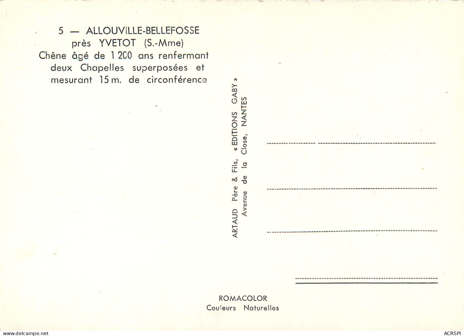ALLOUVILLE BELLEFOSSE Pres YVETOT Chene Age 7(scan Recto-verso) MD2514 - Allouville-Bellefosse