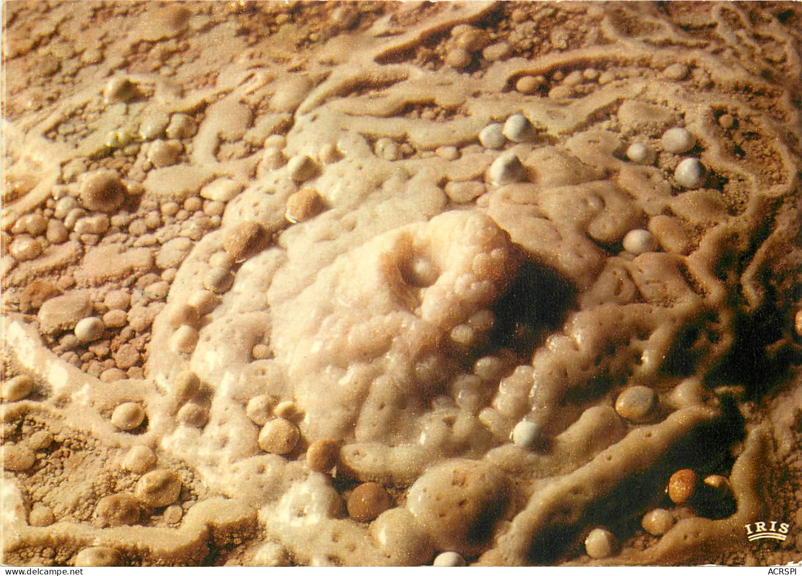 SAINT AMBROIX La Cocaliere Grotte De 1ere Classe Perle Des Cavernes En Formation 17(scan Recto-verso) MD2526 - Saint-Ambroix