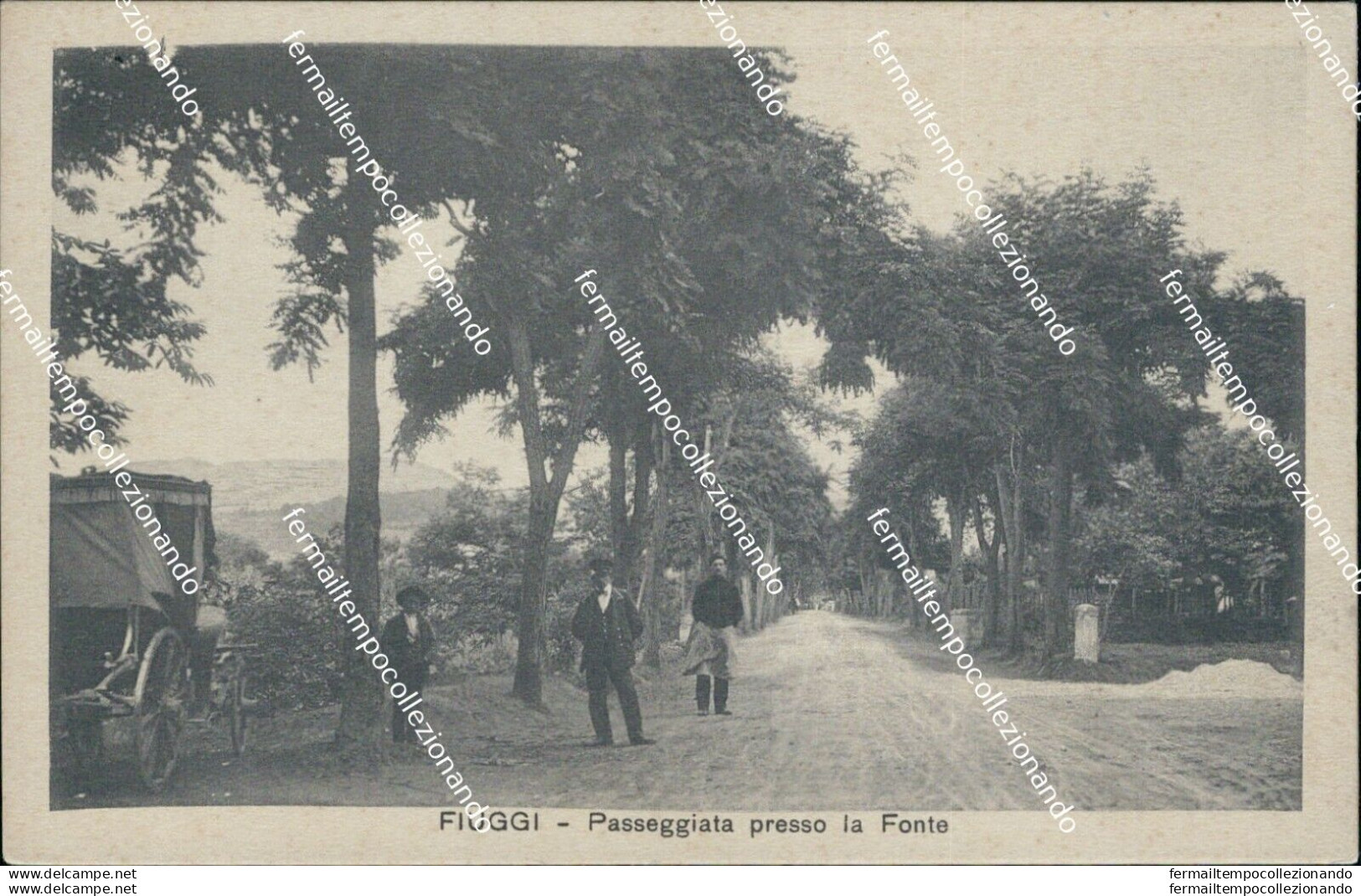 Bq320 Cartolina Fiuggi Passeggiata Presso La Fonte Provincia Di Frosinone - Frosinone