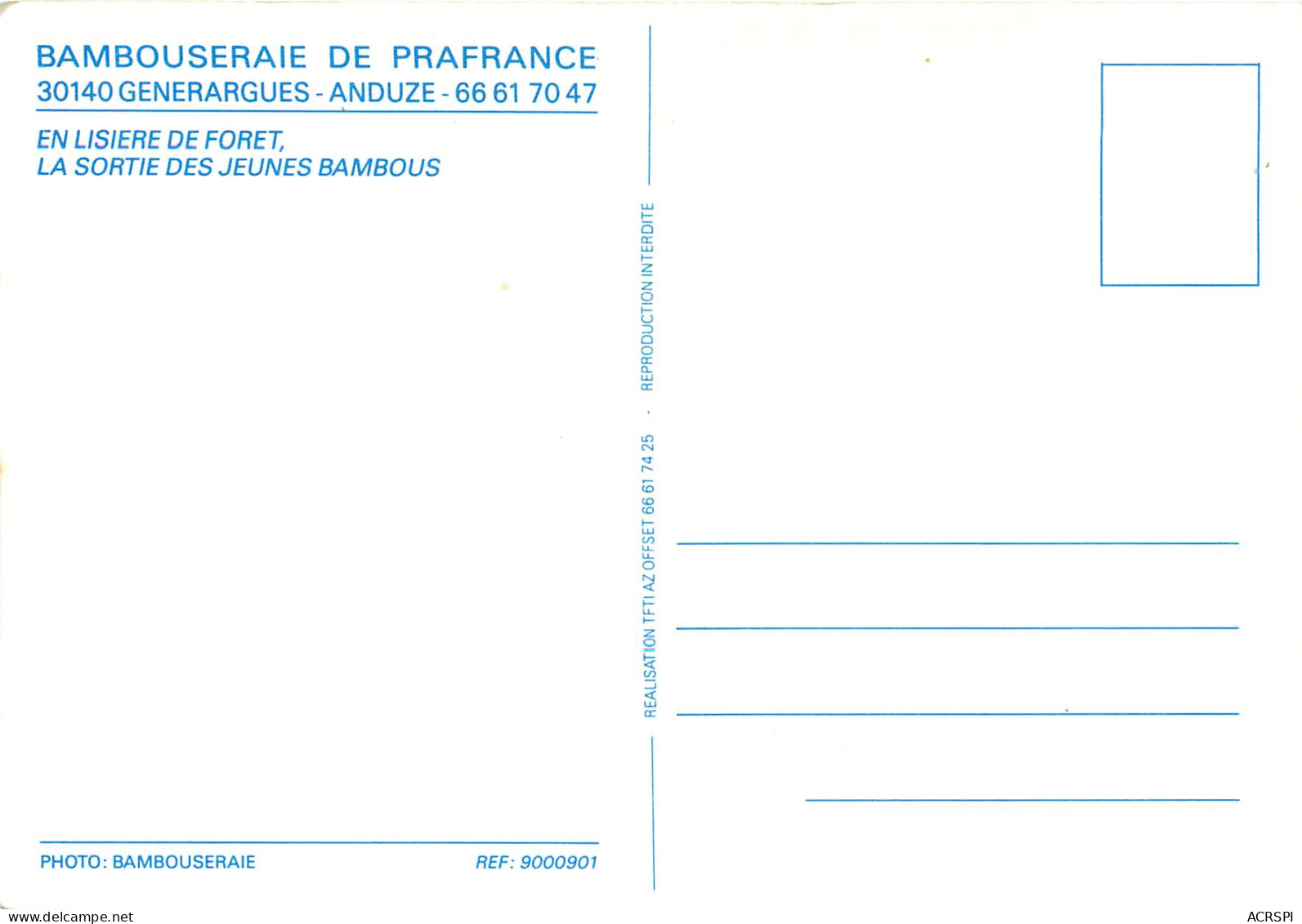 BAMBOUSERAIE DE PRAFRANCE ANDUZE La Lisiere De Foret La Sortie Des Jeunes Bambous 25(scan Recto-verso) MD2537 - Anduze