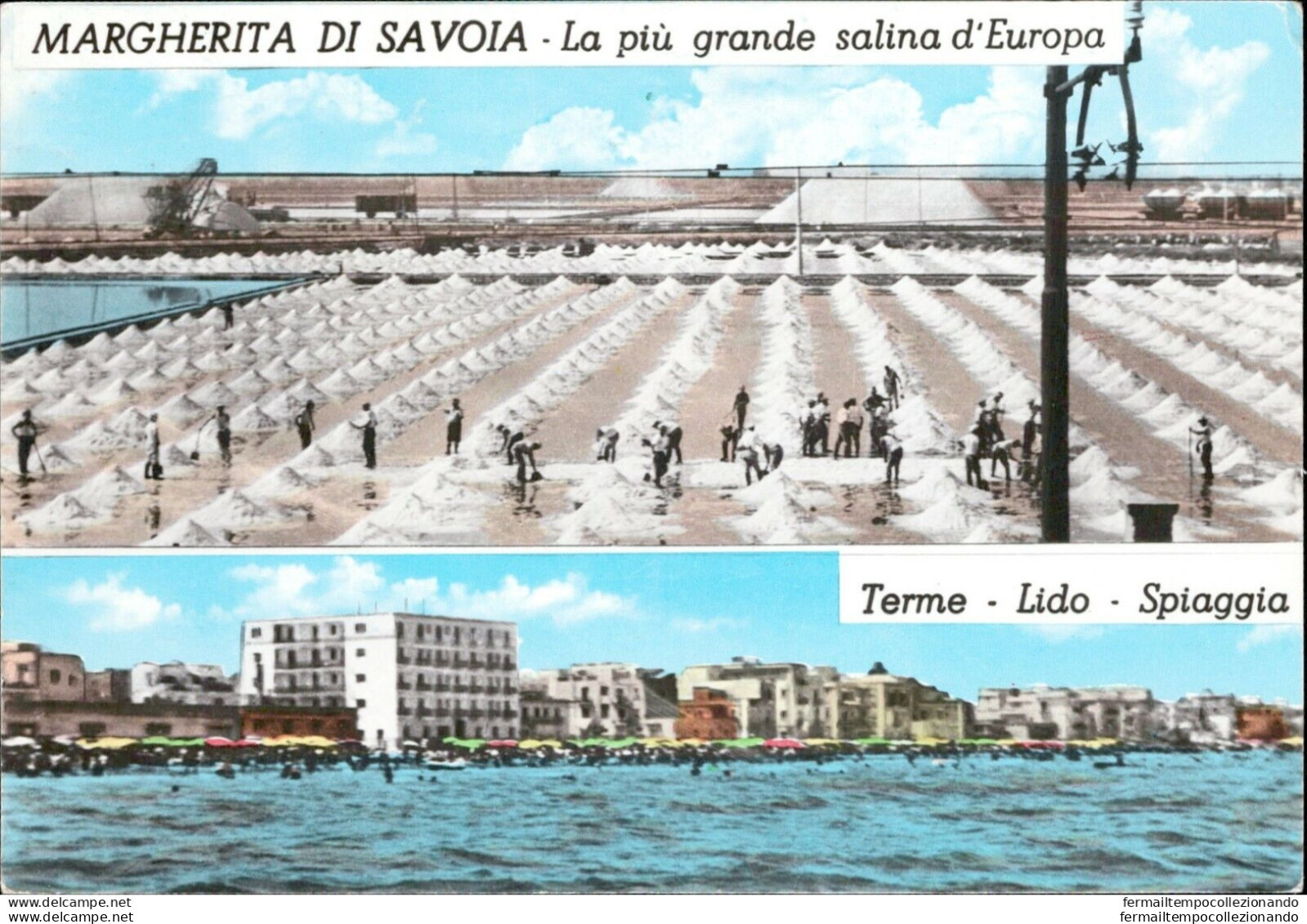 Al361 Cartolina Margherita Di Savoia La Piu' Grande Salina D'europa Foggia - Foggia