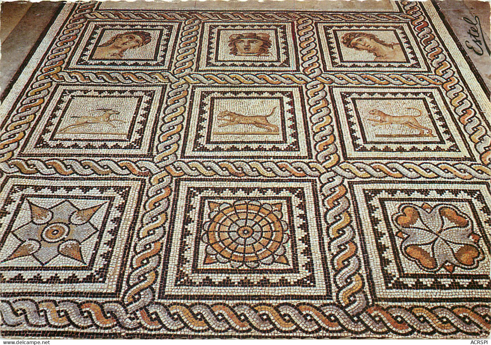 NIMES Musee De La Maison Carree Mosaique Antique Trouvee A Nimes 28(scan Recto-verso) MD2544 - Nîmes