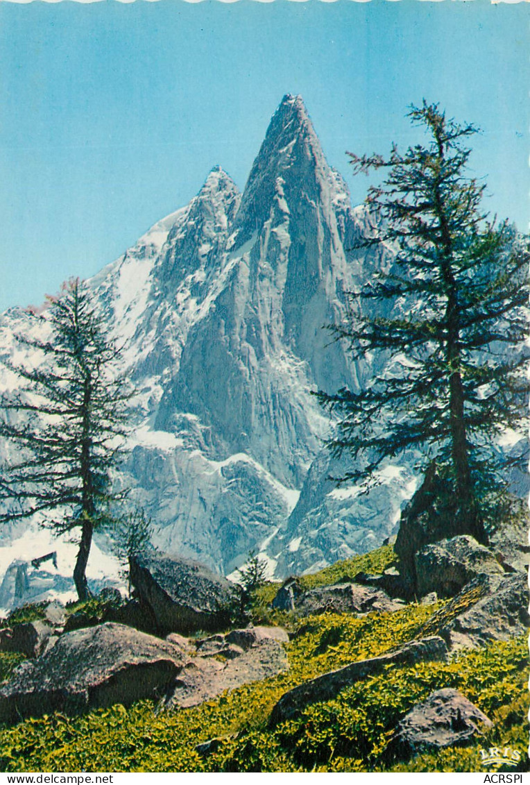 CHAMONIX Mt Blanc Les Drus Et L Aiguille Verte Depuis Le Montenvers 8(scan Recto-verso) MD2554 - Chamonix-Mont-Blanc