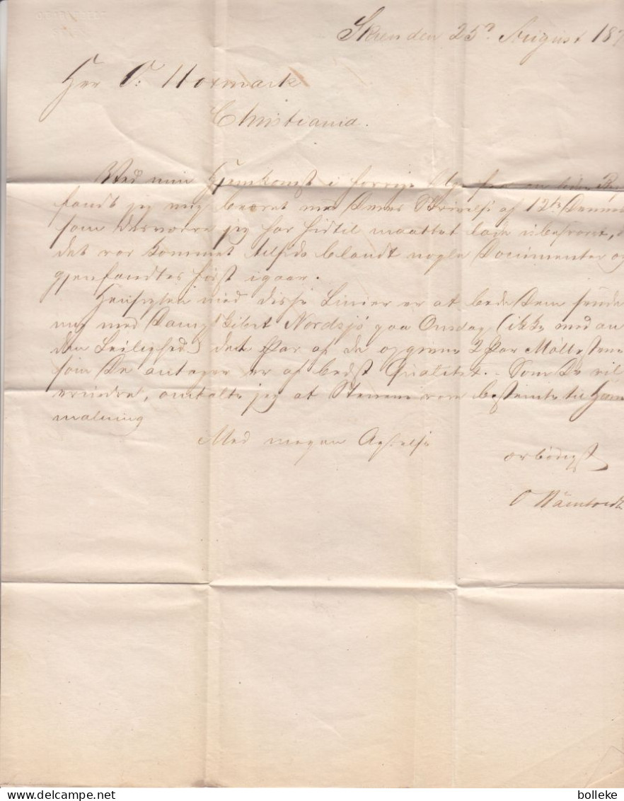 Norvège - Lettre De 1871  - Oblit Skien - Exp Vers Christiania - Valeur 20 Euros - - Neufs