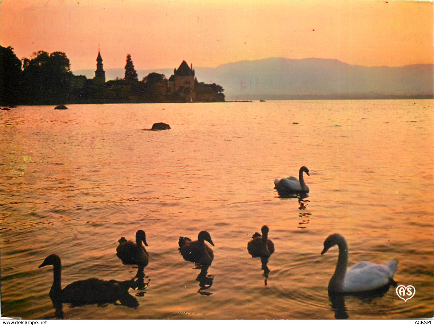 YVOIRE Le Bain Des Cygnes Au Crepuscule Face A La Pointe D Yvoire Et La Rive Suisse 23(scan Recto-verso) MD2568 - Yvoire