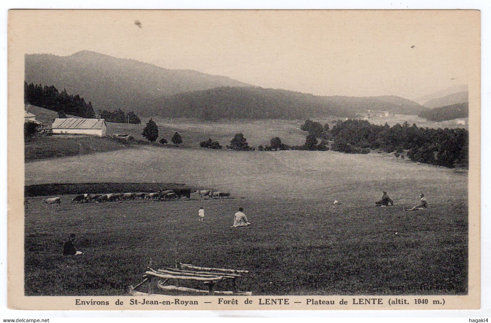 CPA 26 : Environs De St-Jean-en-Royan - Forêt De LENTE -  Plateau De LENTE - élevage Troupeau - Sonstige & Ohne Zuordnung