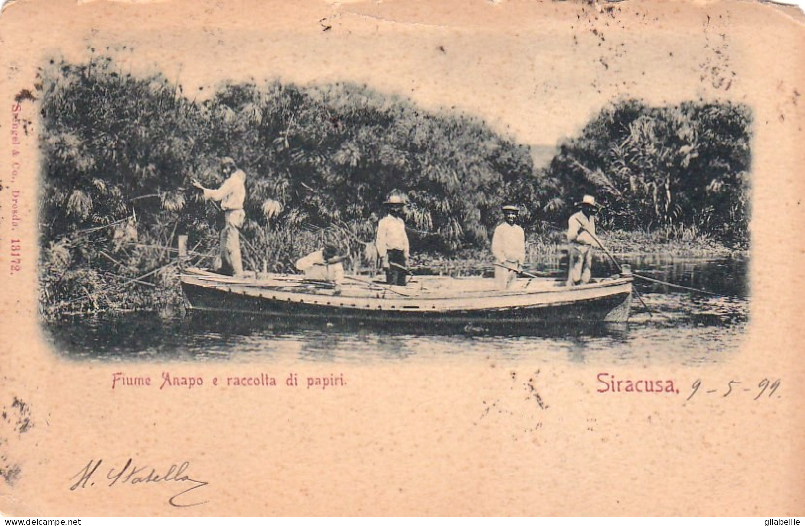 SIRACUSA - Fiume Anapo E Raccolta Di Papiri - 1899 - Siracusa