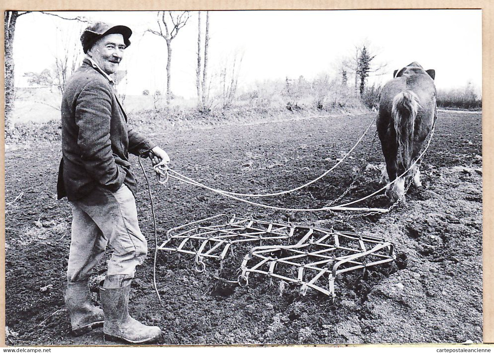 10571 ● LE FAOUET VILLENEUVE BARREGANT Lucien L'HERMITE ROSSIGNOL Agriculteur 1986 Rolland BOUEXEL Tirage 100ex - Le Faouet
