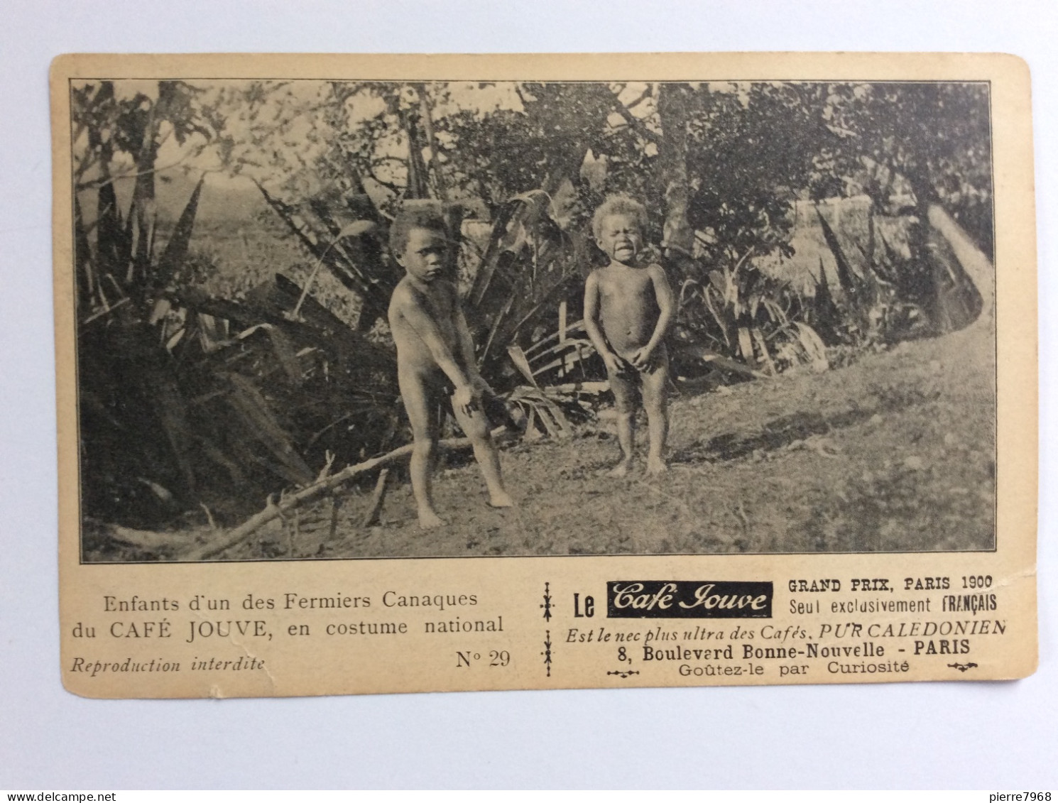 Nouvelle-Calédonie : Enfants D'un Des Fermiers Canaques Du Café Jouve, En Costume National (!) (N°29) - Pliure En Coin - New Caledonia