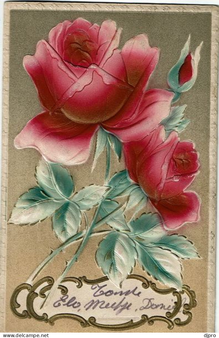 Flower / Fleur / Bloemen Rose - Fiori