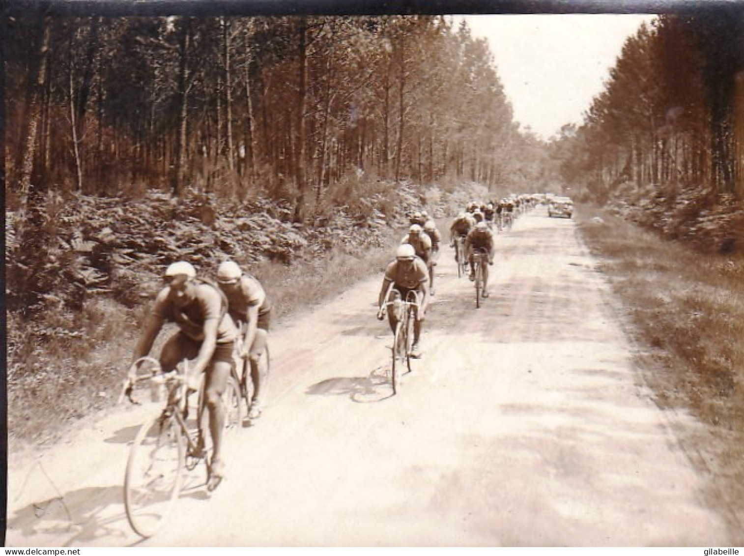Photo Originale - Cyclisme - Coureur Belge Silvere Maes - Tour De France 1939 - Ciclismo