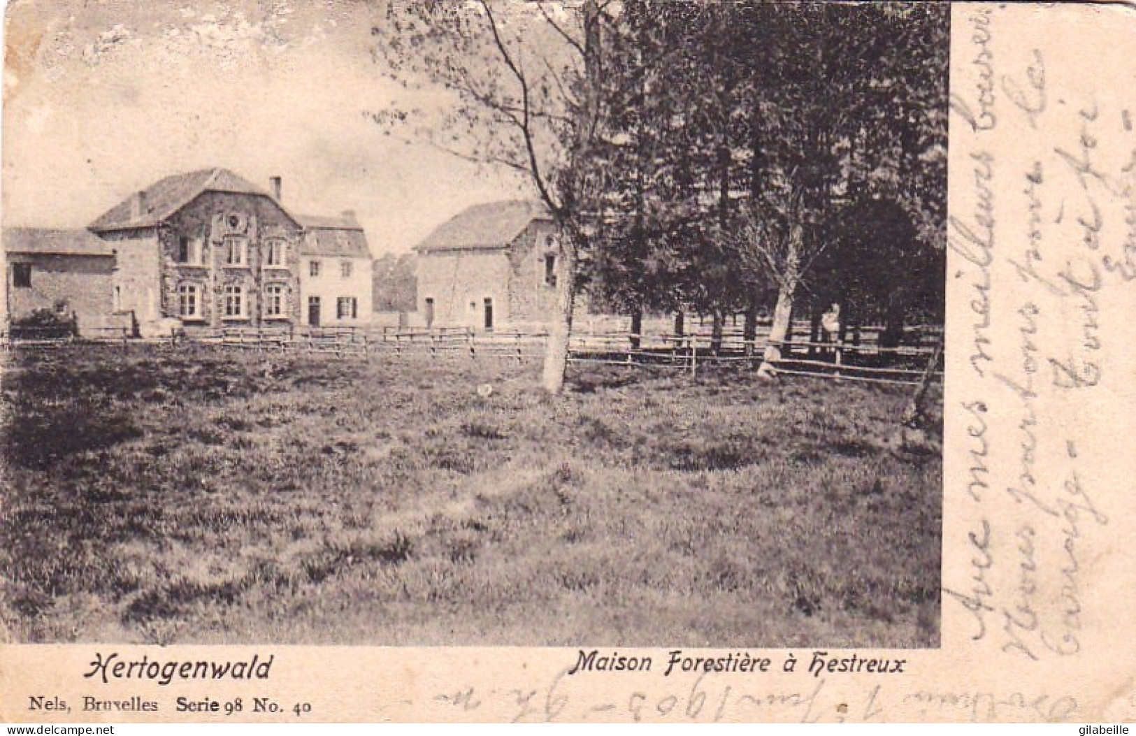 Liege - Hertogenwald - Maison Forestiere  HESTEUX - Sonstige & Ohne Zuordnung