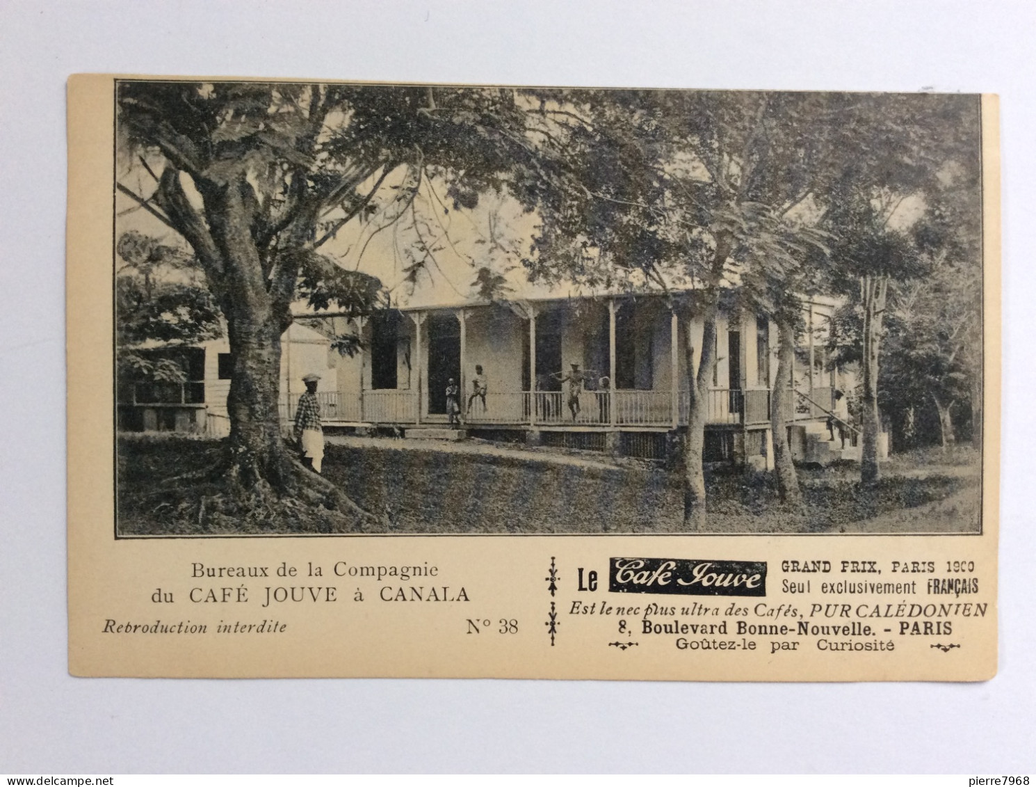 Nouvelle-Calédonie : Carte Publicitaire Du Café Jouve - Bureaux De La Compagnie à Canalan (N°38) - Nieuw-Caledonië