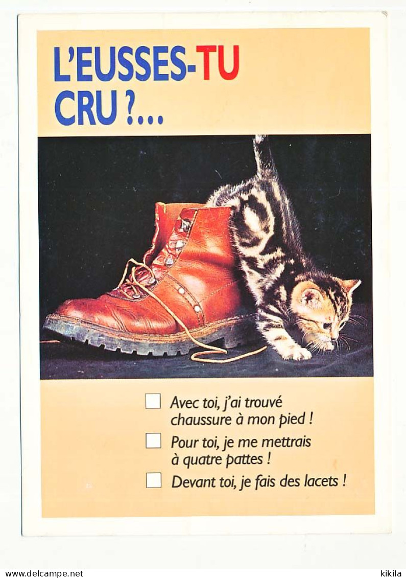 CPSM / CPM 10.5 X 15 Chaussure  Chat (10)  Chaton   "L'eusses-tu Cru?..." Question-Réponses Messages Positifs - Katzen