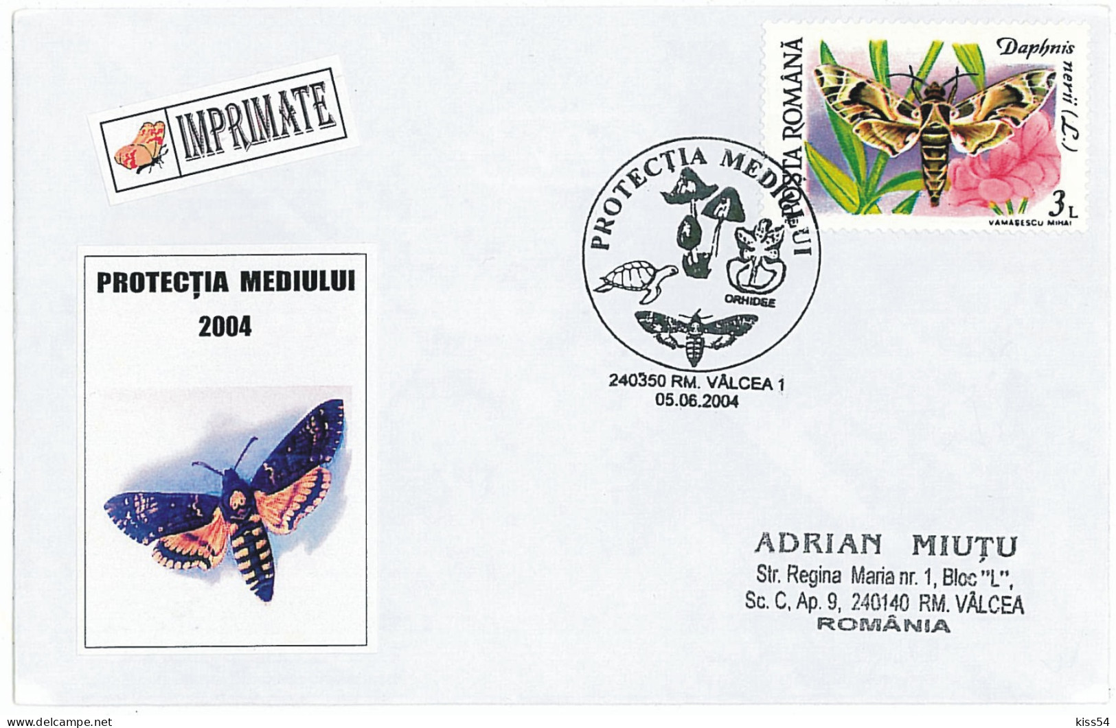 COV 34 - 378 BUTTERFLY, Romania - Cover - Used - 2004 - Cartas & Documentos
