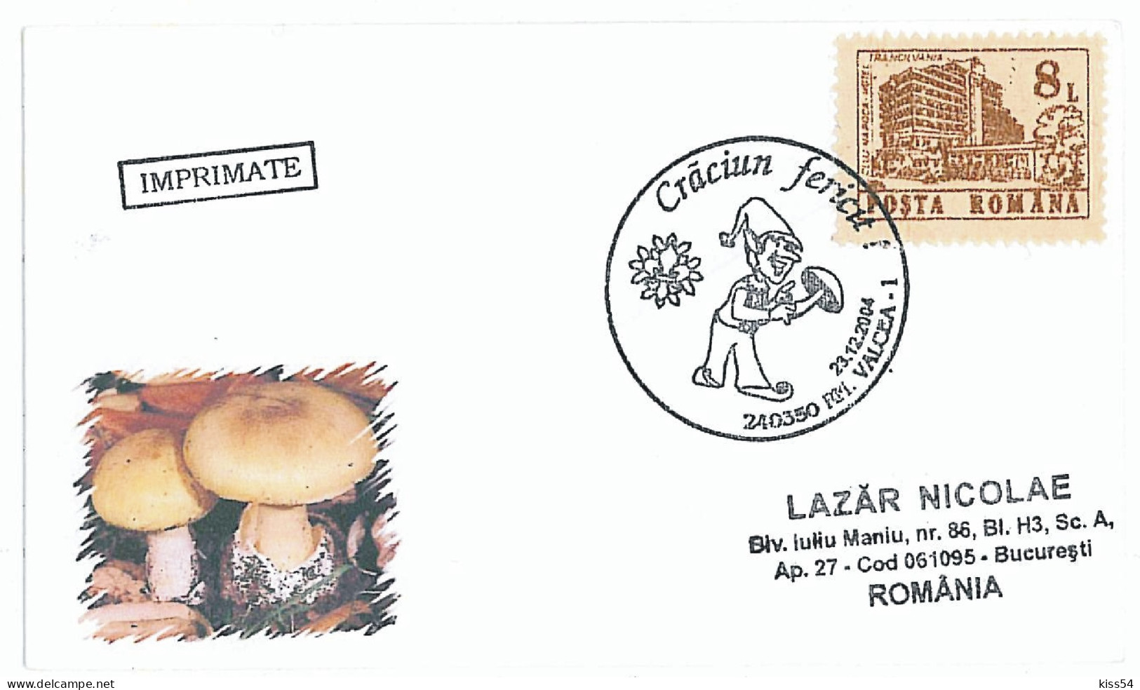 COV 34 - 1222-a MUSHROOMS, Romania - Mini Cover + Greeting Card - 2004 - Lettres & Documents