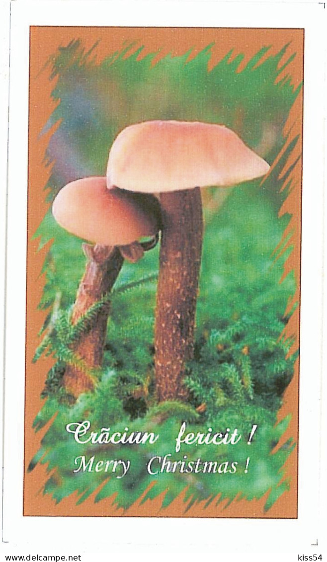 COV 34 - 1222-a MUSHROOMS, Romania - Mini Cover + Greeting Card - 2004 - Briefe U. Dokumente