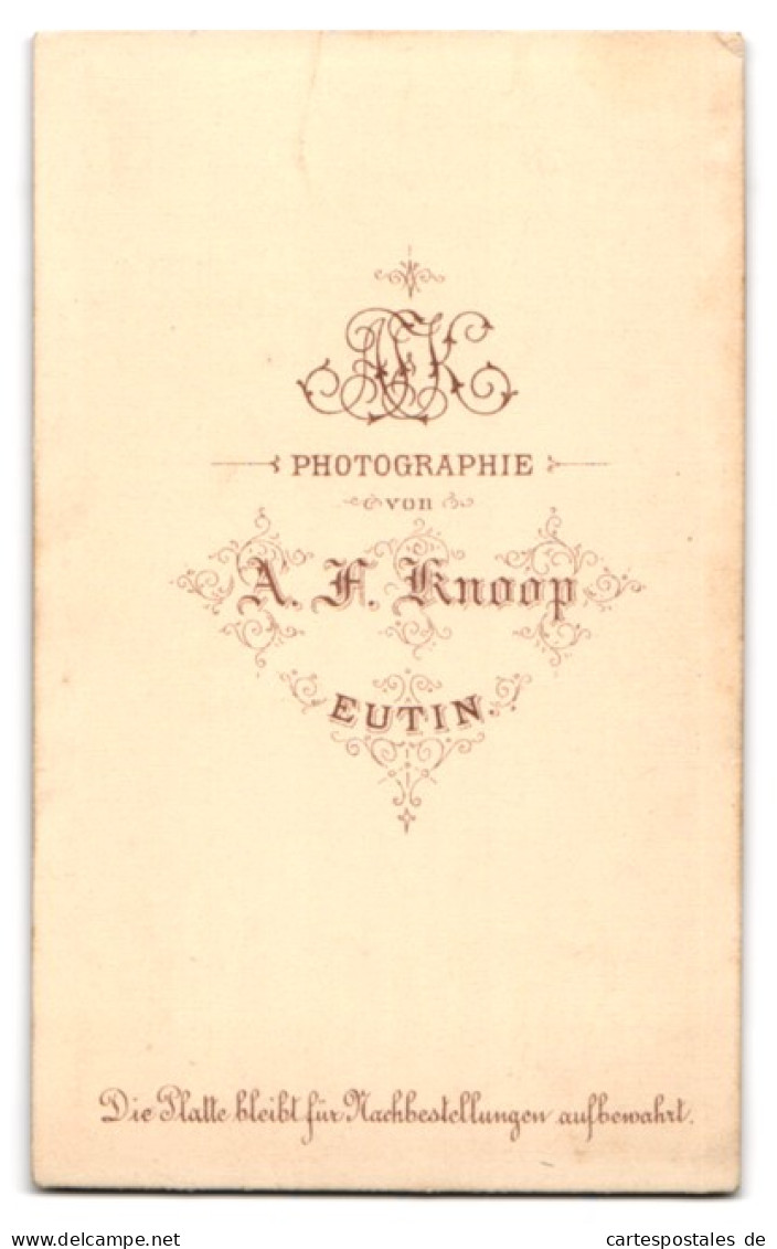 Fotografie A. F. Knoop, Eutin, C. Kartong Im Anzug Mit Schwarzer Flege Und Segelohren  - Anonymous Persons