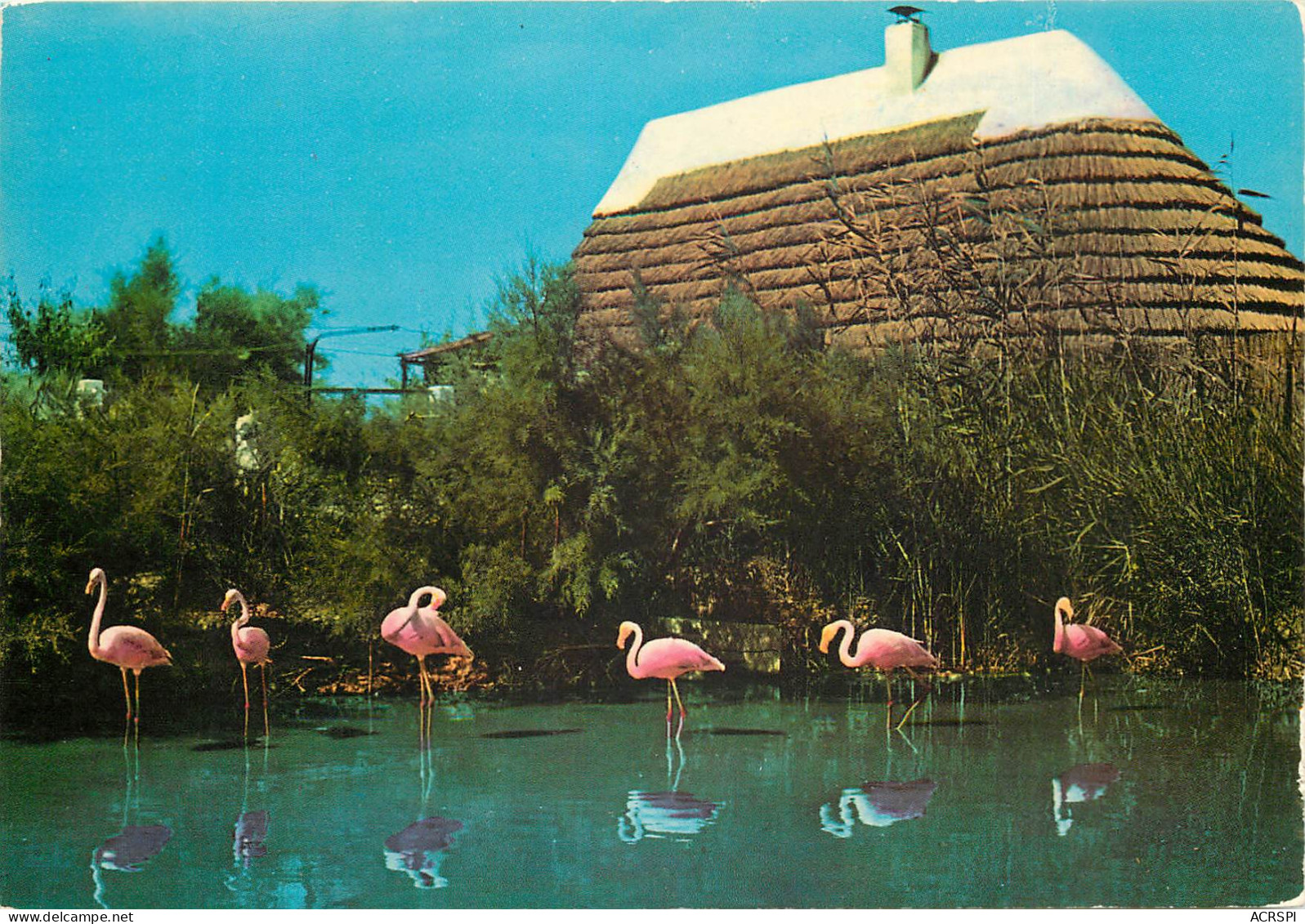 LA CAMARGUE ET LES SAINTES MARIES DE LA MER Cabane De Guardian Et Flamants Roses 24(scan Recto-verso) ME2604 - Saintes Maries De La Mer