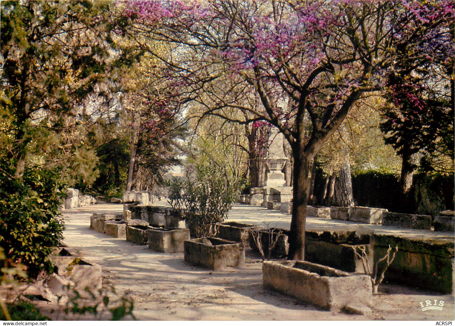 ARLES Les Alyscamps L Allee Des Sarcophages 24(scan Recto-verso) ME2605 - Arles