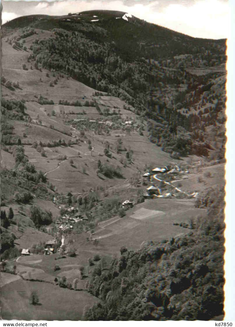 Belchen - Schwarzwald - Loerrach