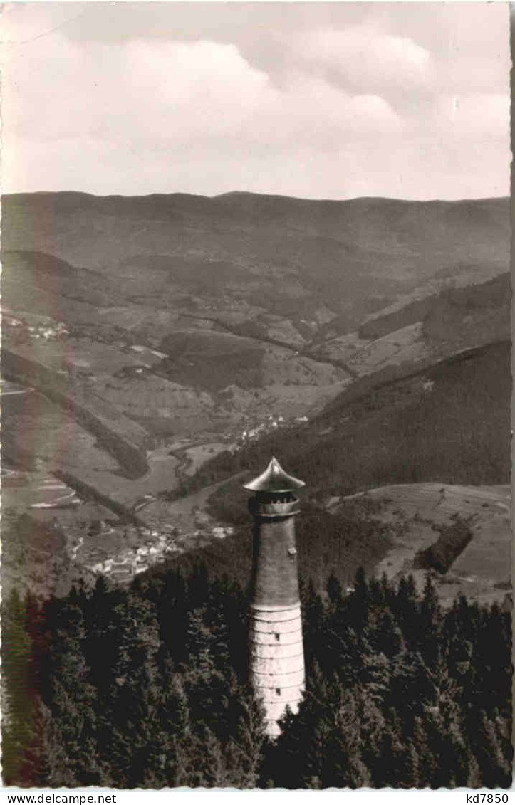 Hohe Möhr - Schwarzwald - Loerrach