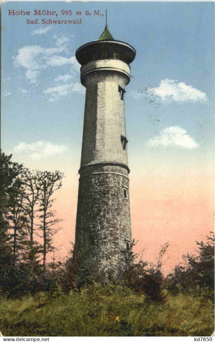 Hohe Möhr - Schwarzwald - Loerrach