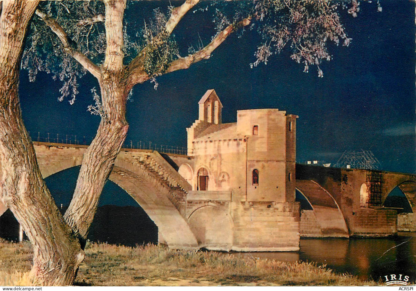 AVIGNON Le Pont St Benezet Et La Chapelle Saint Nicolas La Nuit 23(scan Recto-verso) ME2620 - Avignon