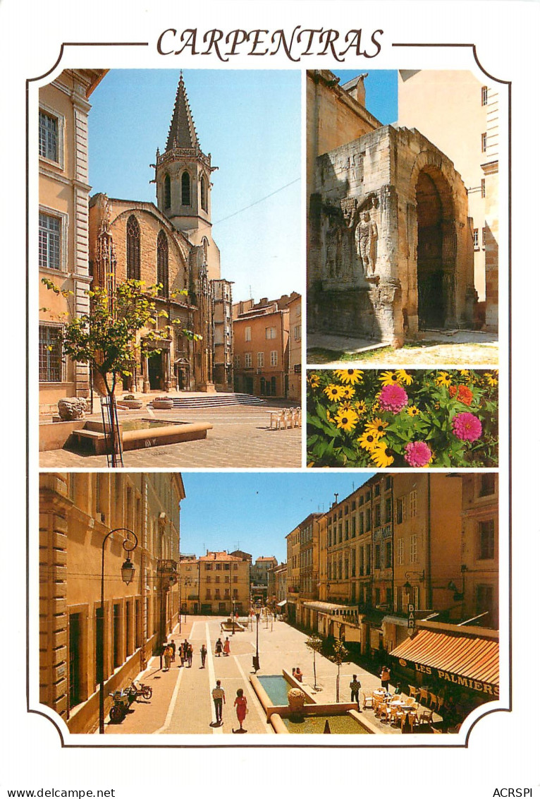 CARPENTRAS Capitale Du Comtat Venaissin La Cathedrale 8(scan Recto-verso) ME2625 - Carpentras