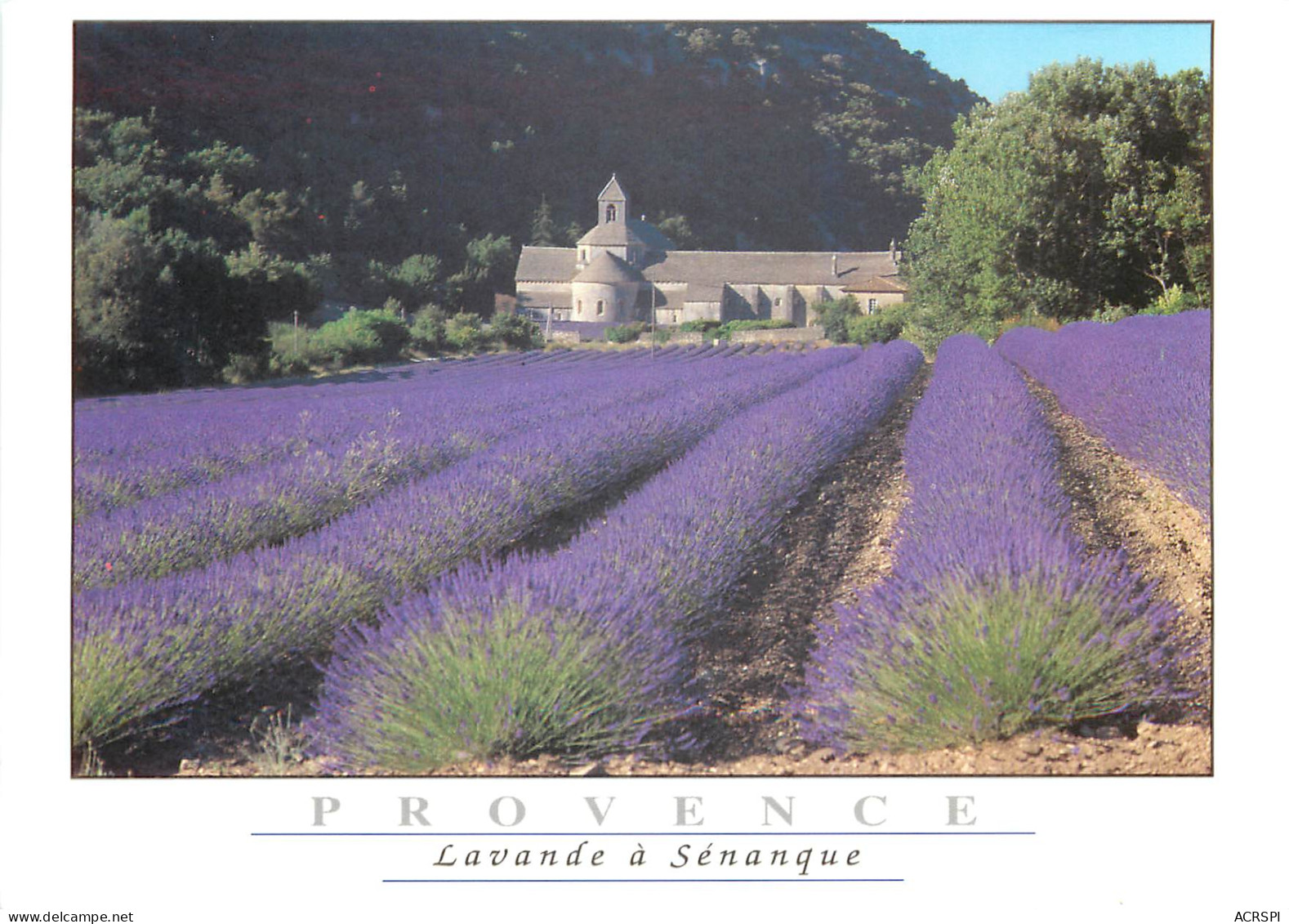 GORDES Sur Le Plateau De Vaucluse L Abbaye De Senanque 8(scan Recto-verso) ME2630 - Gordes