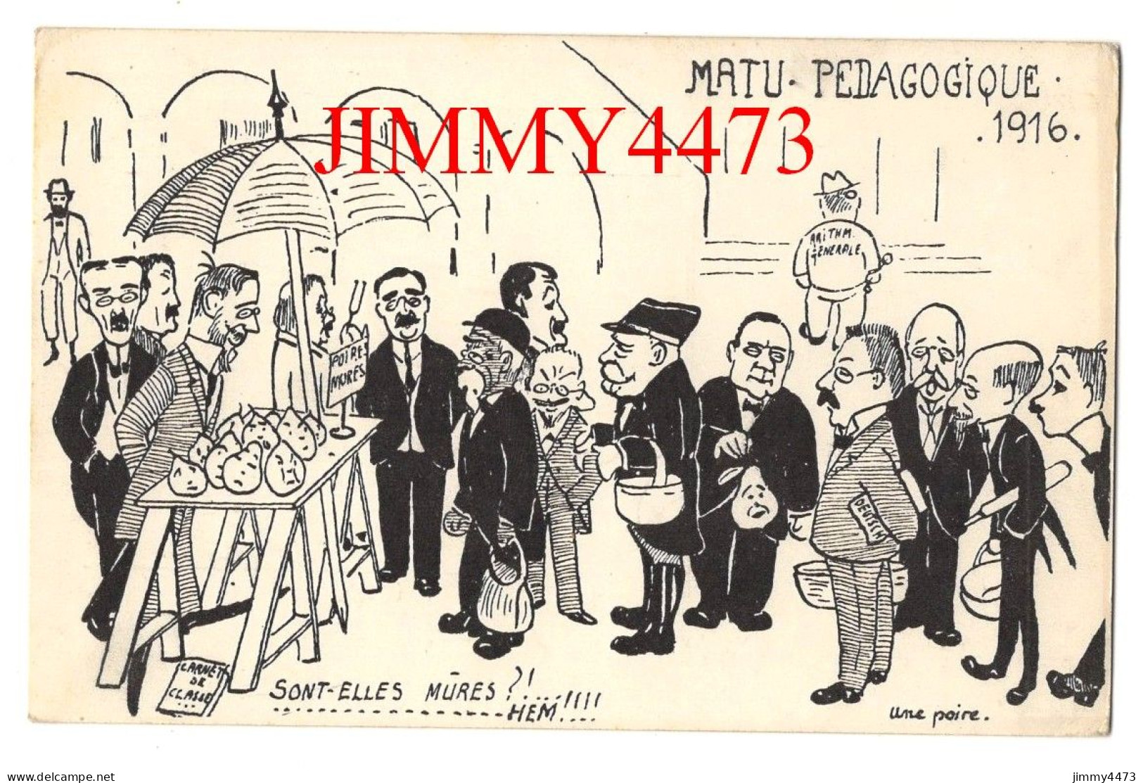 CPA - HUMOUR - MATU - PEDAGOGIQUE 1916 - Sont-Elles Mûres ? . . . . .HEM ! ! !  - Une Poire - Humor