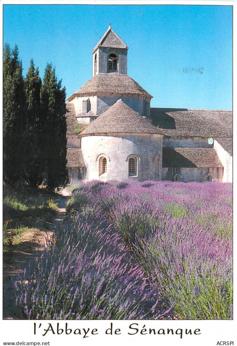 GORDES Sur Le Palteau De Vaucluse L Abbaye De Senanque 2(scan Recto-verso) ME2636 - Gordes