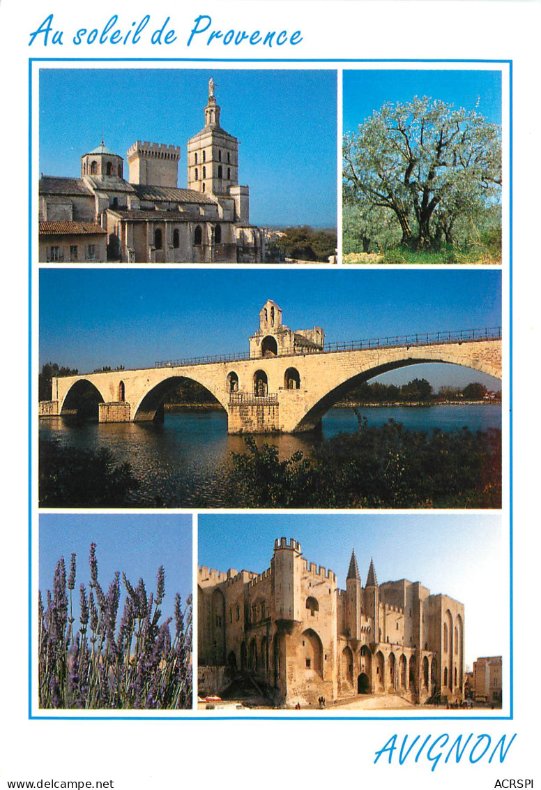 AVIGNON Cite Des Papes Notre Dame Des Doms Le Pont Saint Benezet Le Palais Des Papes 5(scan Recto-verso) ME2636 - Avignon