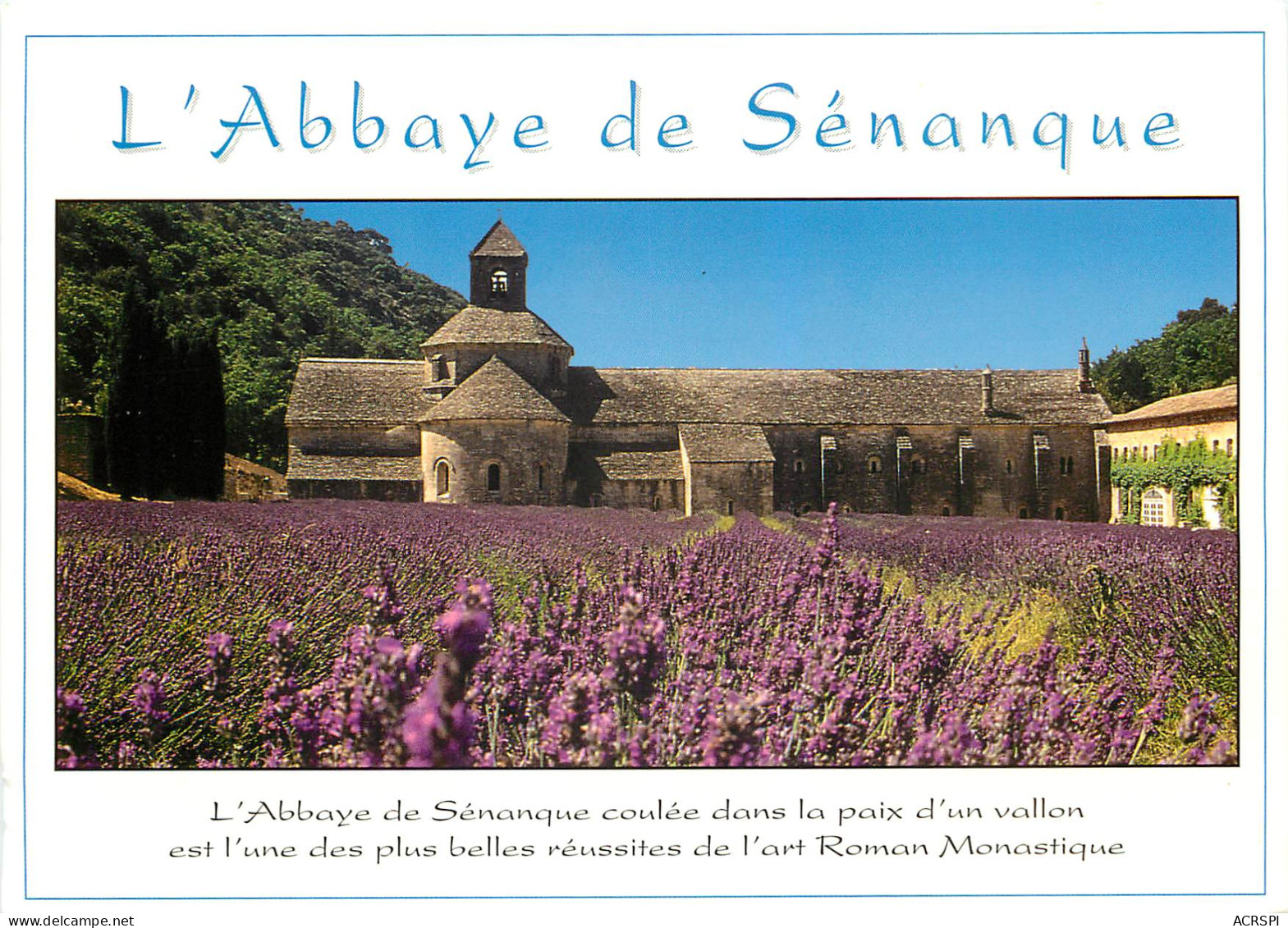 L ABBAYE DE SENANQUE Pres De Gordes Sur Le Plateau De Vaucluse 13(scan Recto-verso) ME2636 - Gordes