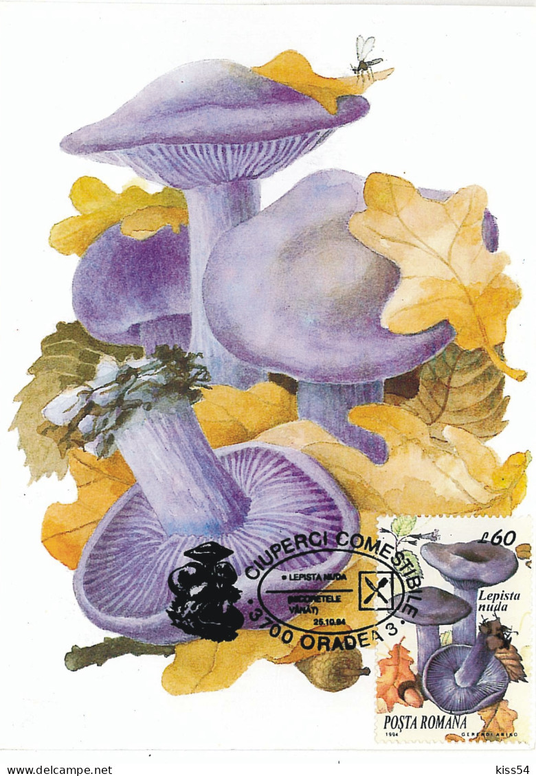 MAX 37 - 256 MUSHROOMS, Romania - Maximum Card - 1994 - Maximum Cards & Covers