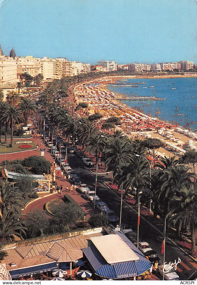 CANNES Hotel CARLTON La Croisette  26 (scan Recto Verso)ME2645TER - Cannes