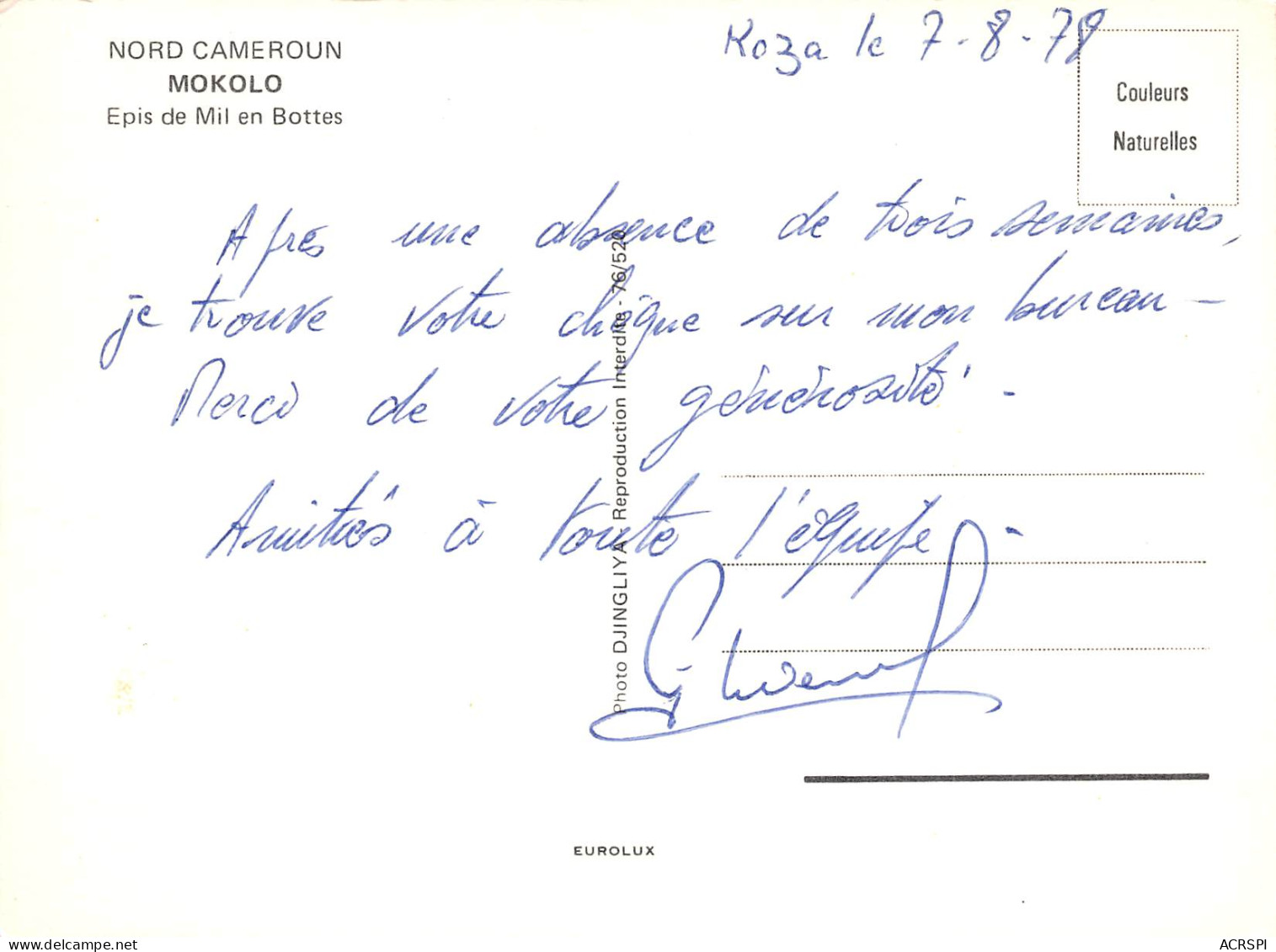 CAMEROUN MOKOLO  épis De Mil En Bottes Au Nord Du Pays  29 (scan Recto Verso)ME2646TER - Kamerun
