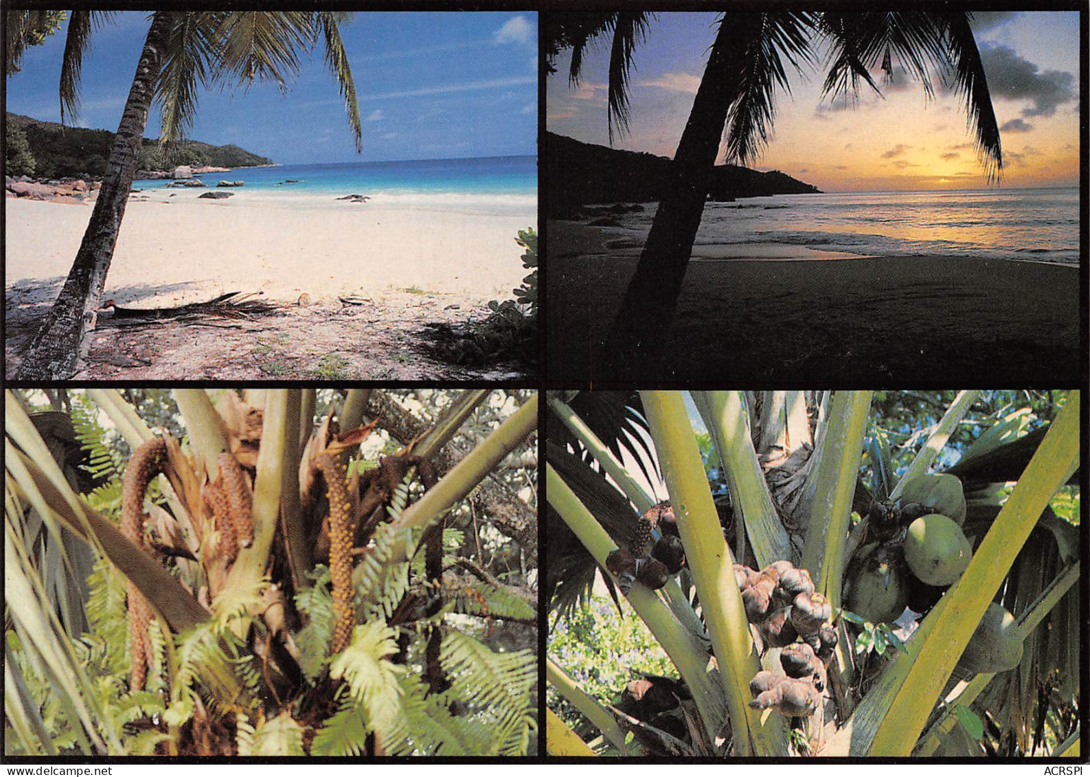 SEYCHELLES Praslin  37 (scan Recto Verso)ME2646UND - Seychellen