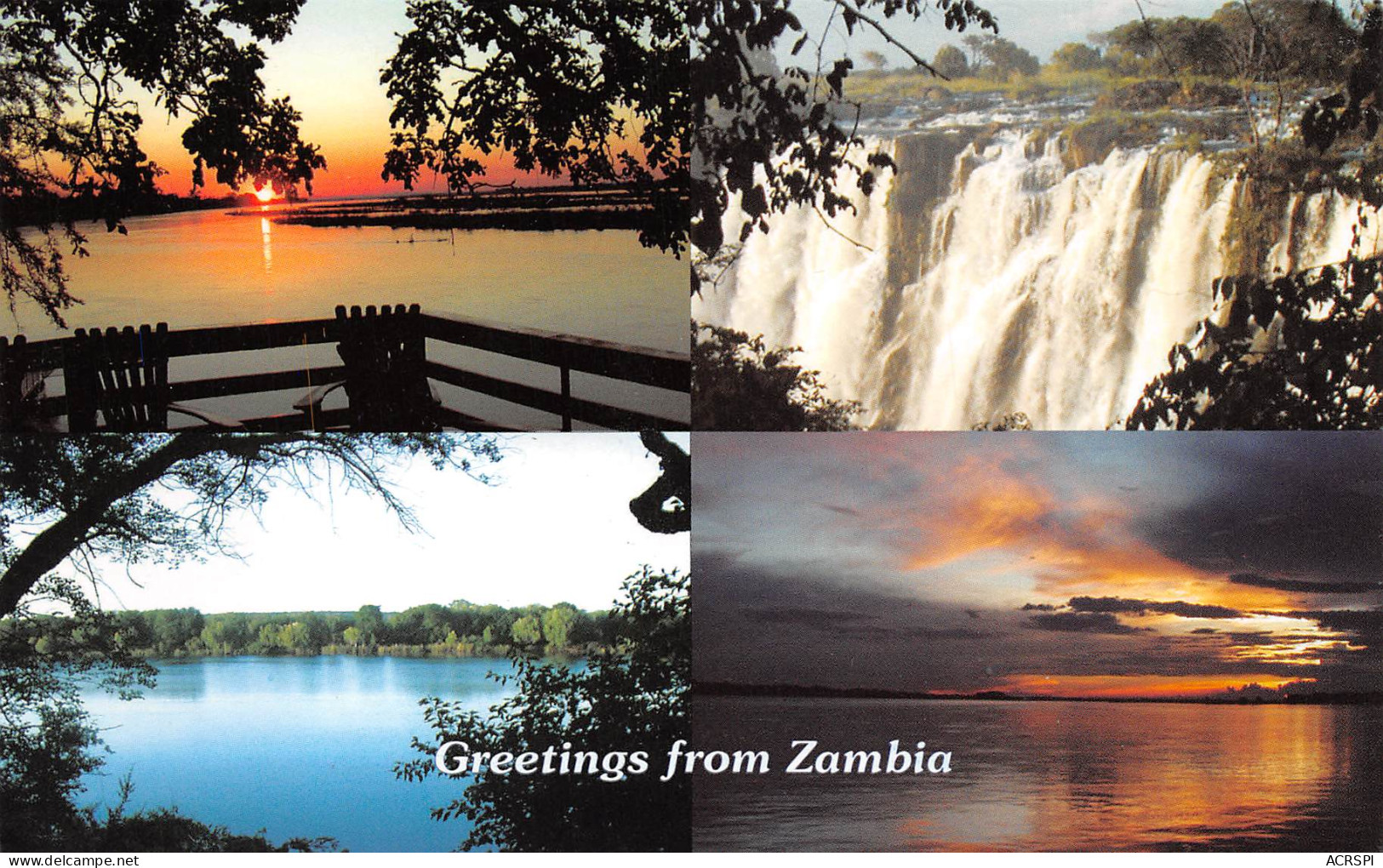 ZAMBIE  ZAMBIA  The ZAMBEZI River  41 (scan Recto Verso)ME2646VIC - Zambie