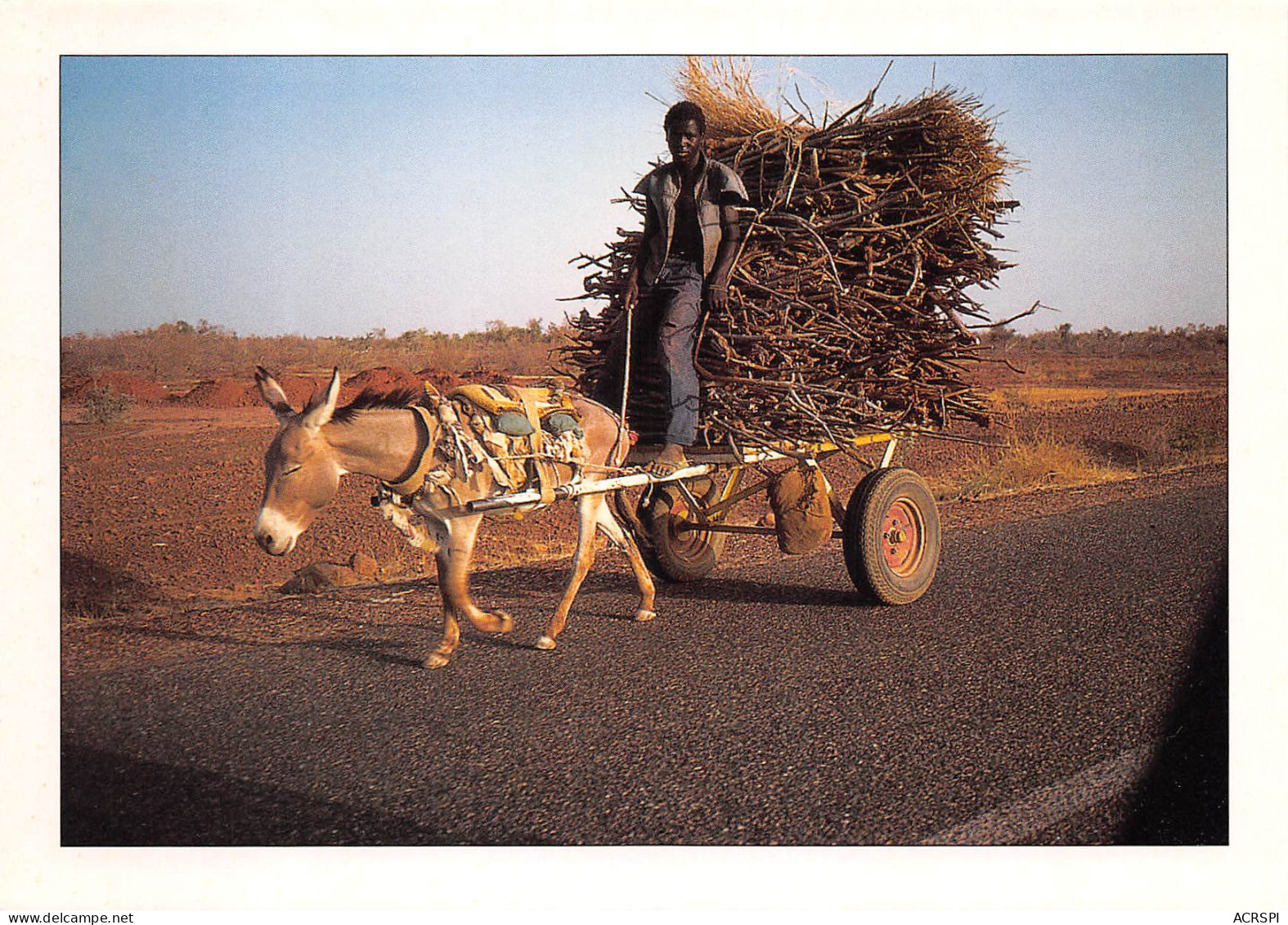 GUINEE  Ane Transportant Des Fagots  40 (scan Recto Verso)ME2647BIS - Guinée Française