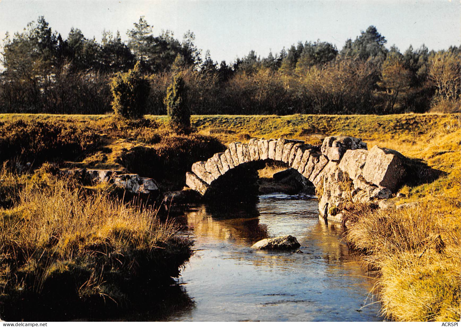 FELLETIN  Le Pont Gallo Romain  21 (scan Recto Verso)ME2650TER - Felletin